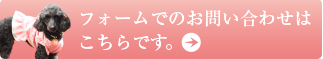 フォームでのお問い合わせはこちらです